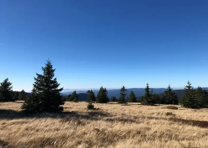 Certovka Trojka - * Harrachov